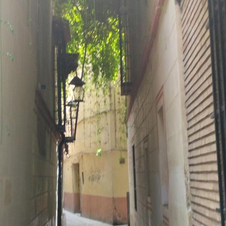La Casa De Pepa Lejlighed Sevilla Eksteriør billede