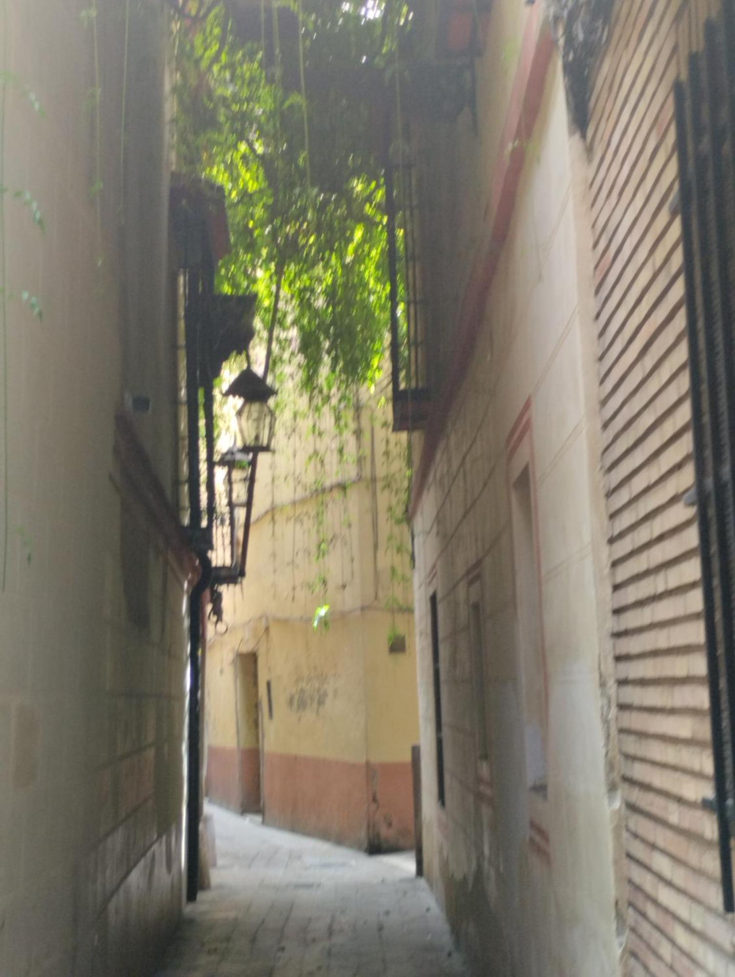 La Casa De Pepa Lejlighed Sevilla Eksteriør billede