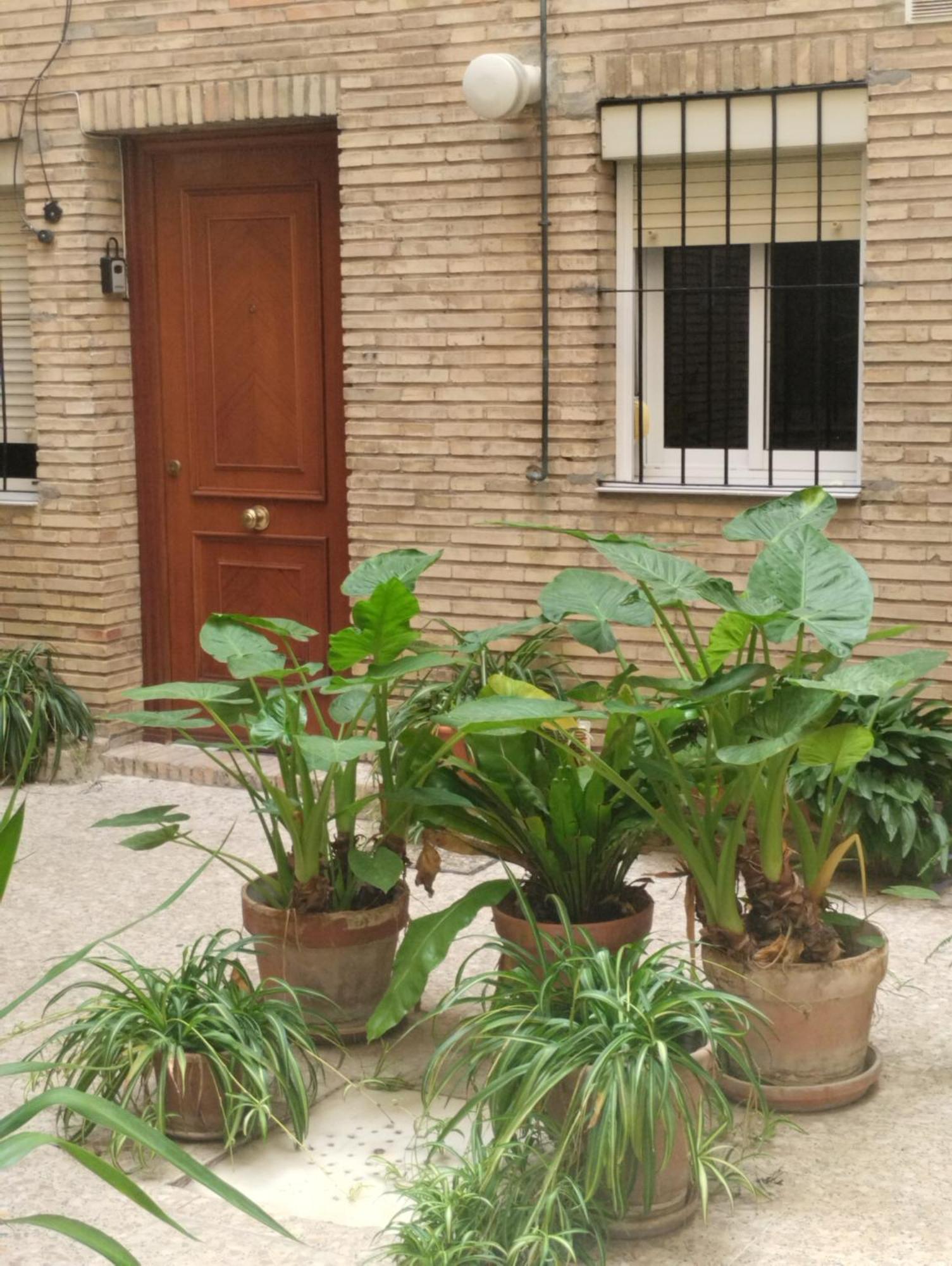 La Casa De Pepa Lejlighed Sevilla Eksteriør billede