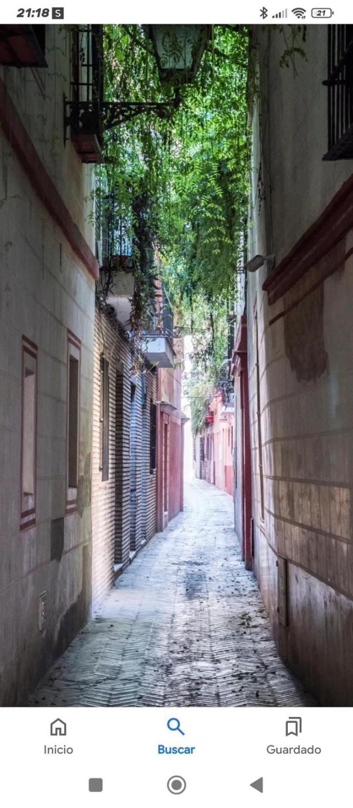 La Casa De Pepa Lejlighed Sevilla Eksteriør billede