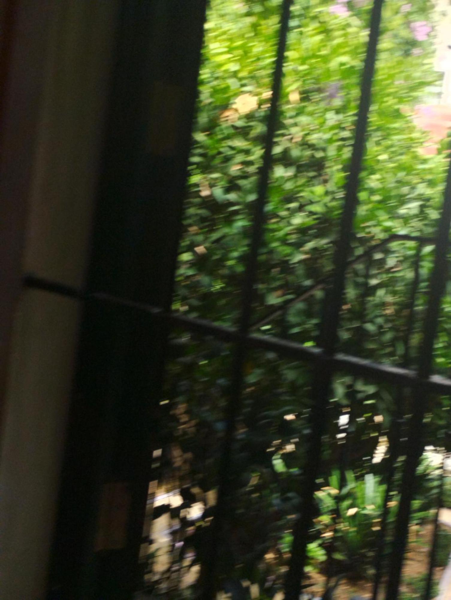 La Casa De Pepa Lejlighed Sevilla Eksteriør billede