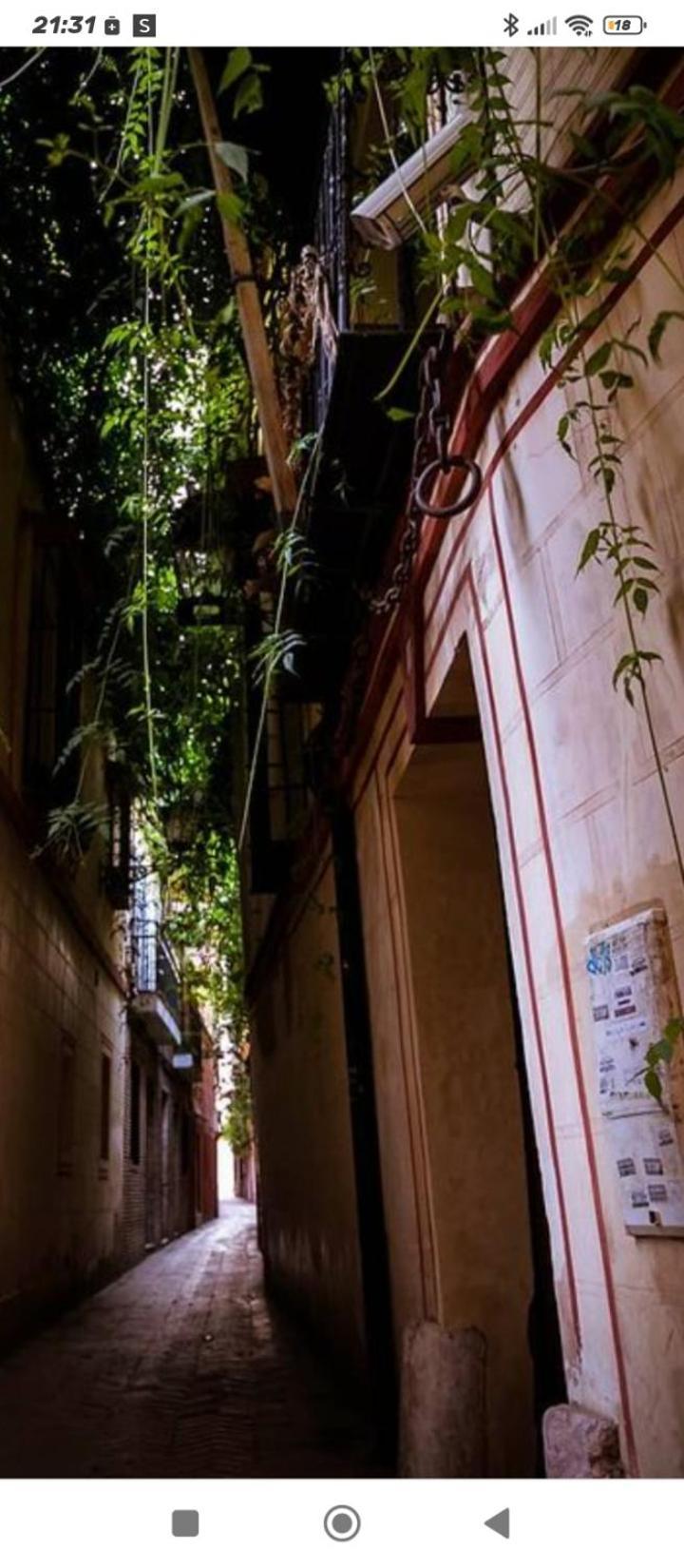 La Casa De Pepa Lejlighed Sevilla Eksteriør billede